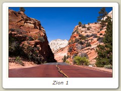Zion 1